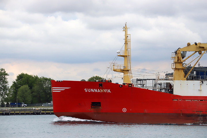 Sunnanvik
